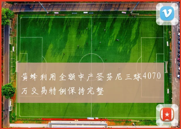 黄蜂利用全额中产签芬尼三球4070万交易特例保持完整