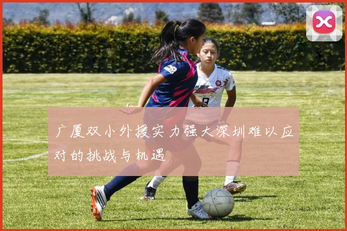 广厦双小外援实力强大深圳难以应对的挑战与机遇