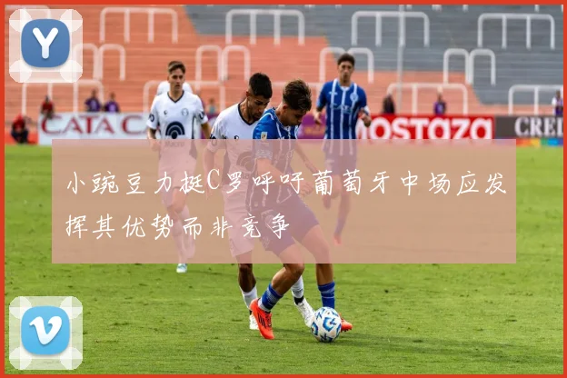 小豌豆力挺C罗呼吁葡萄牙中场应发挥其优势而非竞争